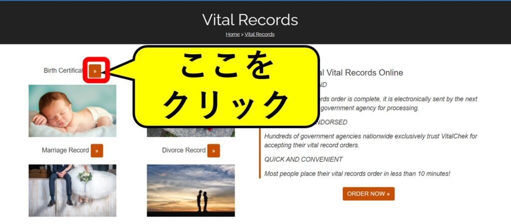 Vital Recordsの種類選択画面