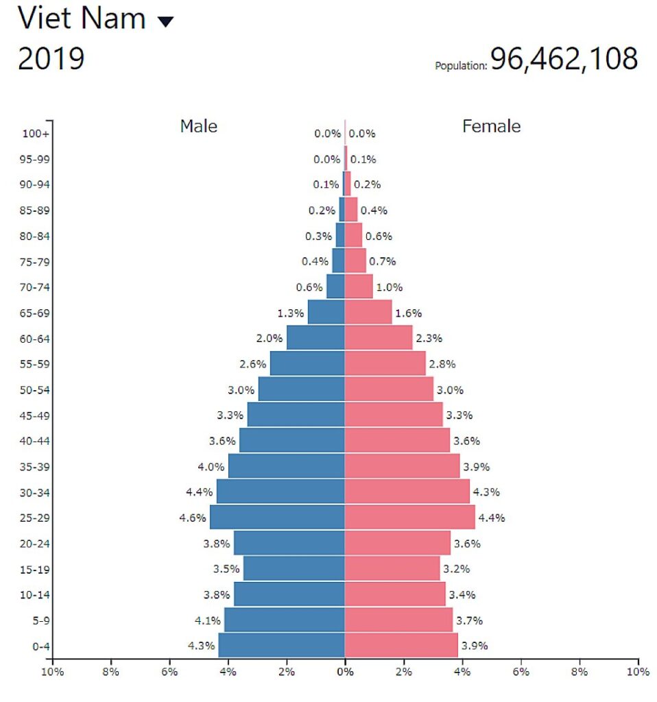 ベトナムの人口ピラミッド