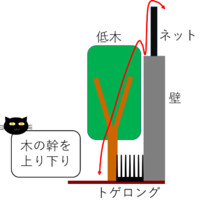 経路②の状況２